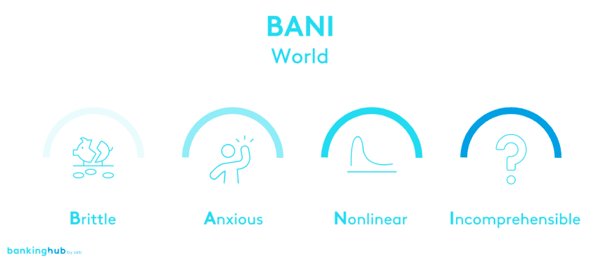 BANI – a novel model tailored to the current context