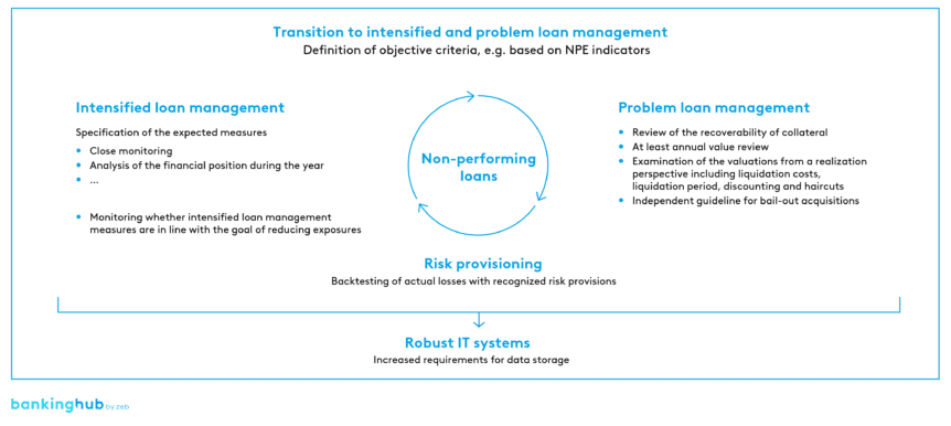 Requirements for managing non-performing loans